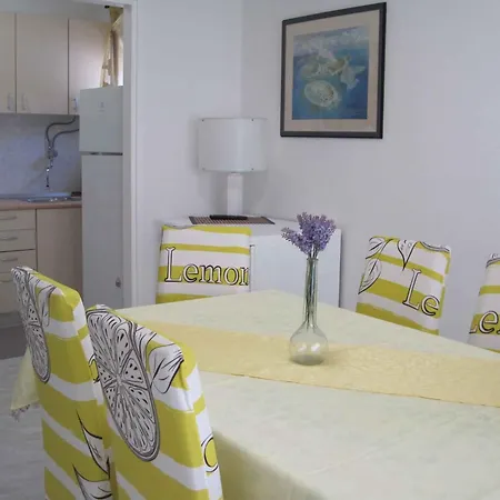 In - Riviera 7970 * Zadar