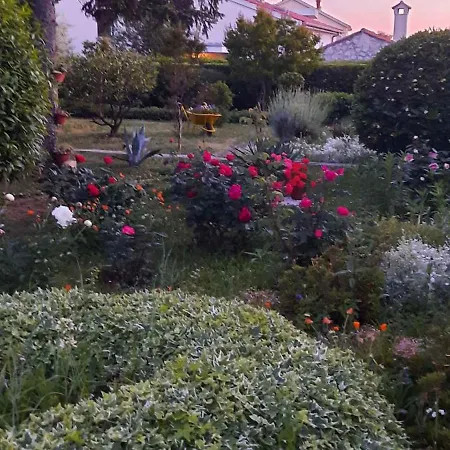 In - Riviera 7970 * Ζαντάρ